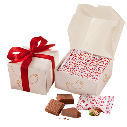 Barth Hug Box | Premium Milk Chocolate & Hazelnut Gift Box